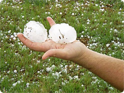 Previsi�n de Granizo