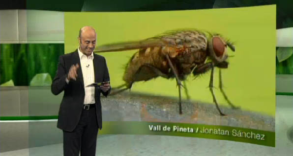 Participaci� en el concurs (video minut 14:20)